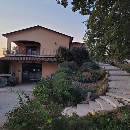 La Residenza Di Campagna Guest House Manciano Eksteriør bilde