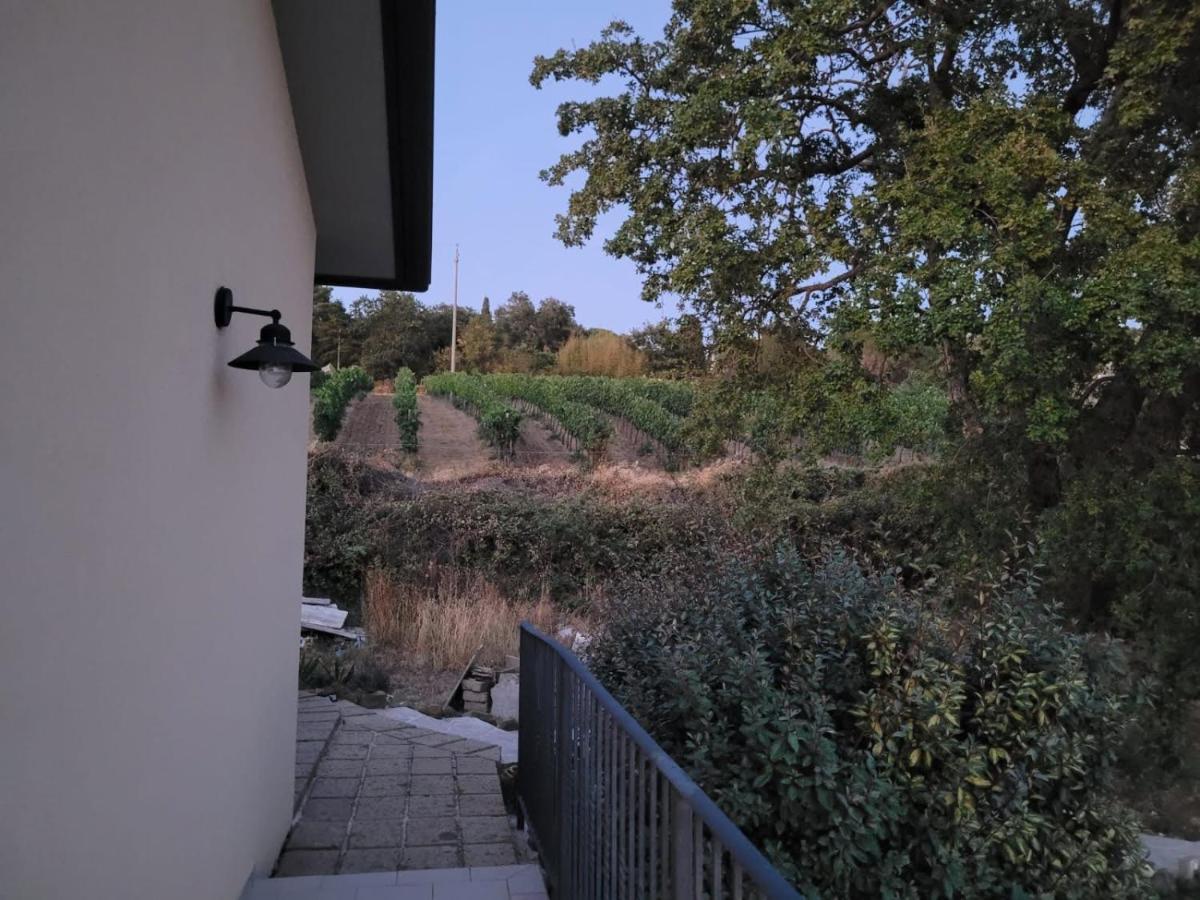 La Residenza Di Campagna Guest House Manciano Eksteriør bilde
