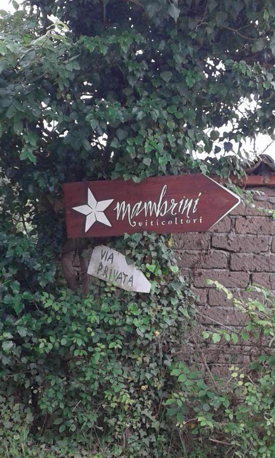 La Residenza Di Campagna Guest House Manciano Eksteriør bilde