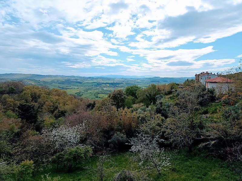 La Residenza Di Campagna Guest House Manciano Eksteriør bilde